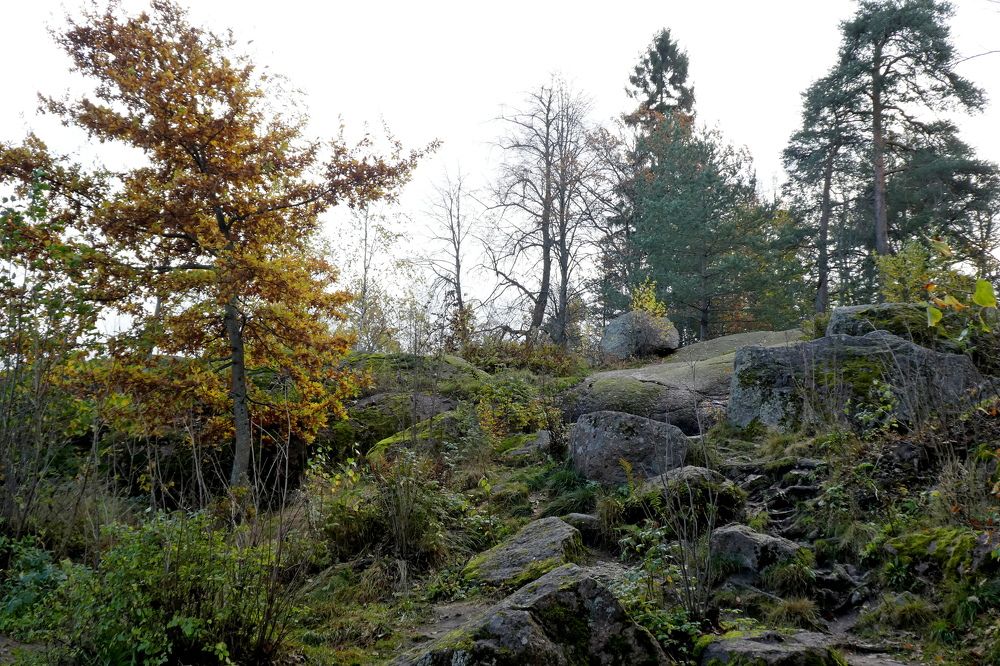 Photograph by Семкин Алексей