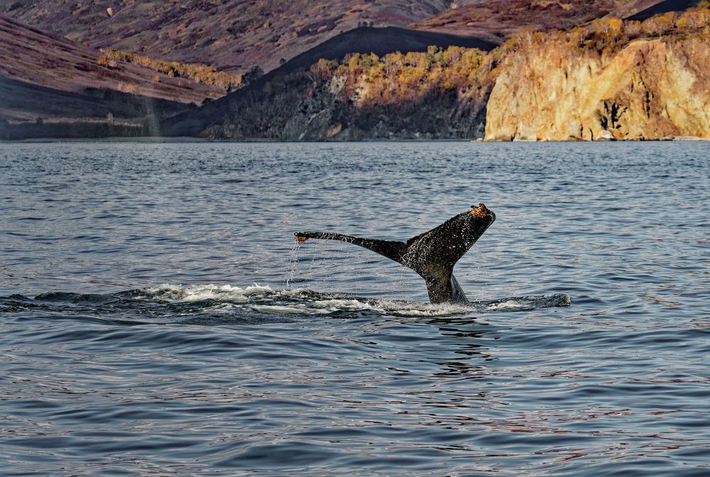 Photograph by Pavel Ivshin