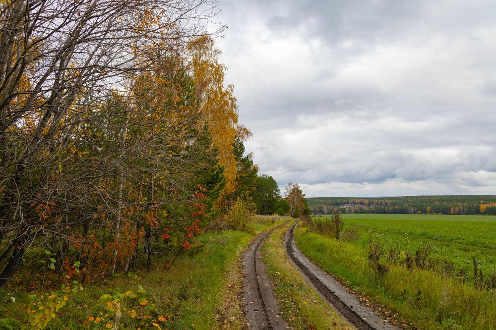 Photograph by Максим Фролов