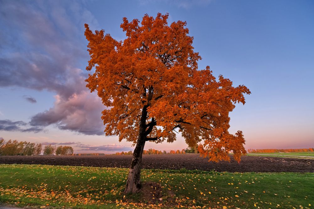 Photograph by Vitalijs Kopa