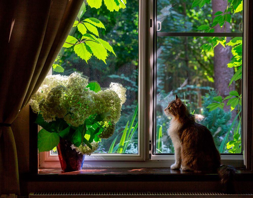 Фотография автора Людмила Прокофьева