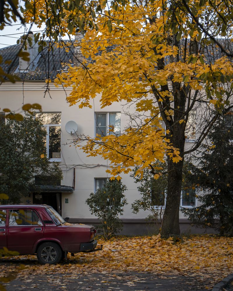 Photograph by Evgeny Ilyin