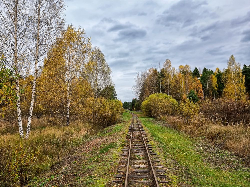 Photograph by Алексей Степанов
