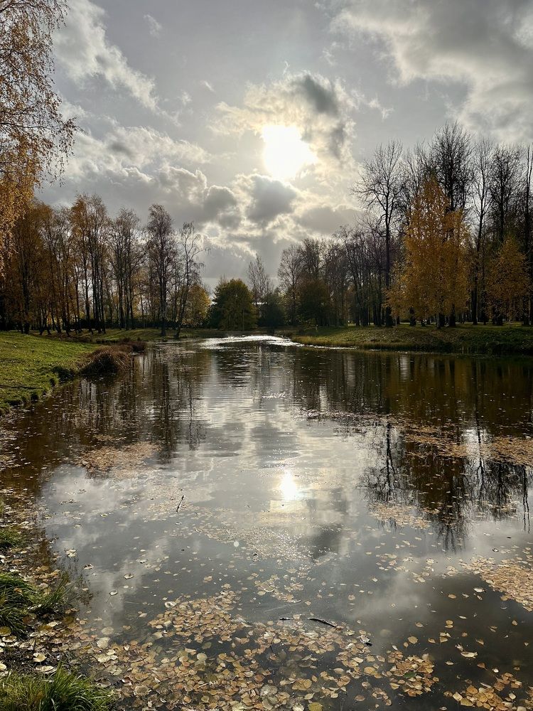 Photograph by Елена Безперстова
