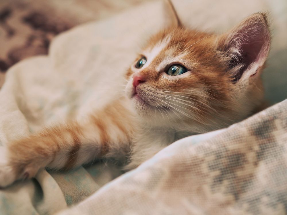 Photograph by Юрий