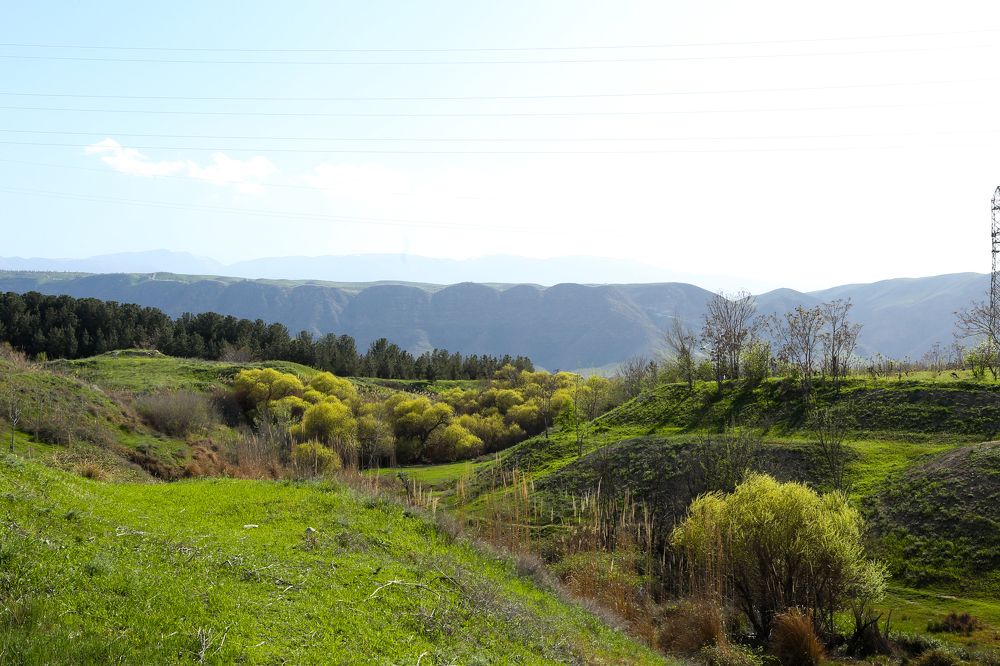 Photograph by Ылхам Онбегиева