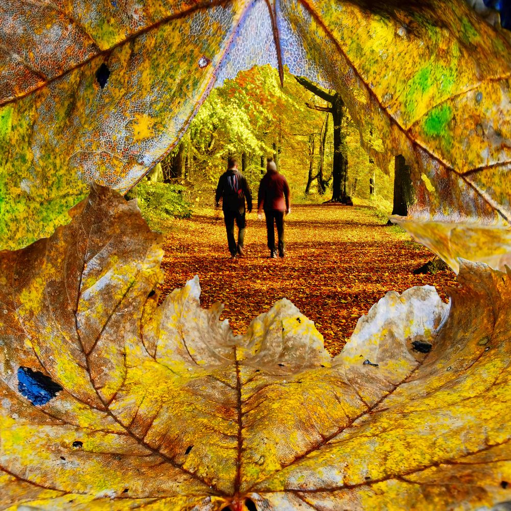 Photograph by John Cuthbert (L.R.P.S)