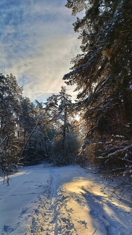 Photograph by Мария Иванова