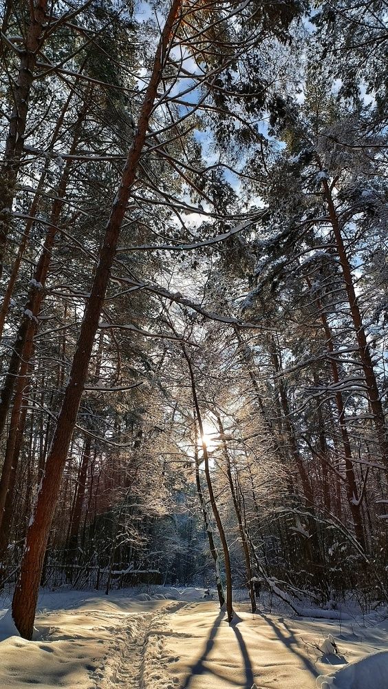 Photograph by Мария Иванова