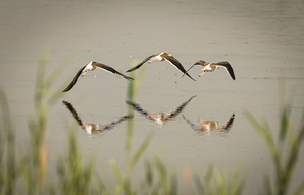 Photograph by Eva Wiedemann