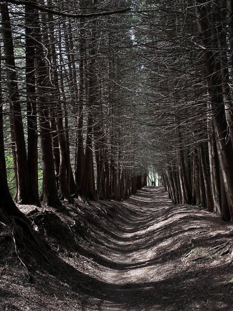 Photograph by Ольга Шабалина