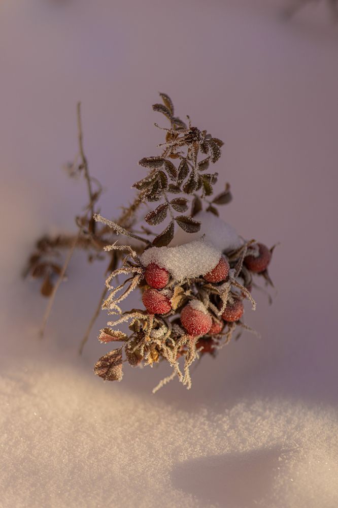 Photograph by Сергей Синягин