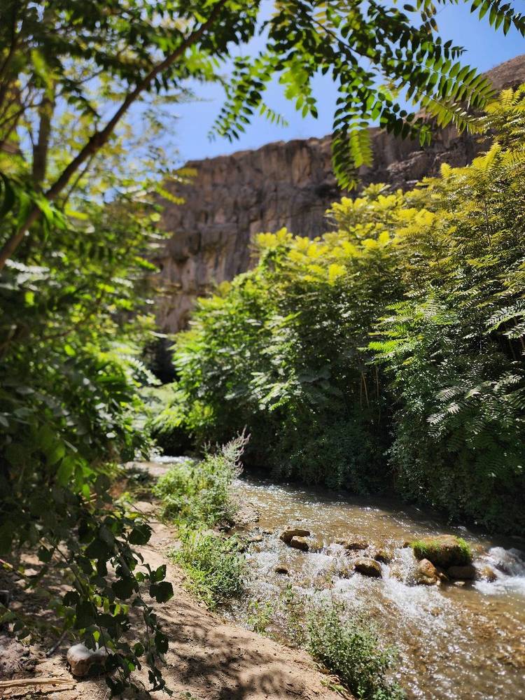 Photograph by Ылхам Онбегиева