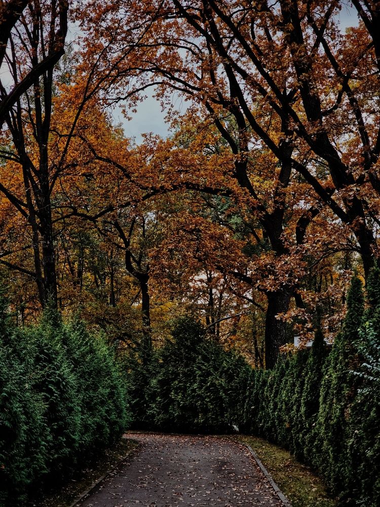 Photograph by Natali AB