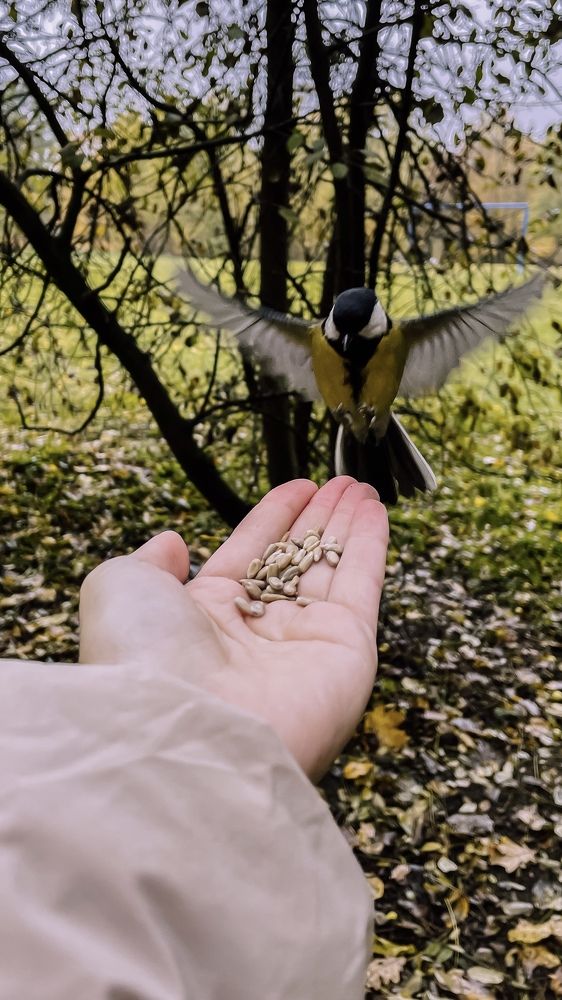 Фотография автора Ольга Каминская