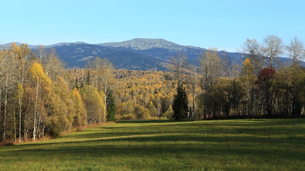 Photograph by Александр Полюдов