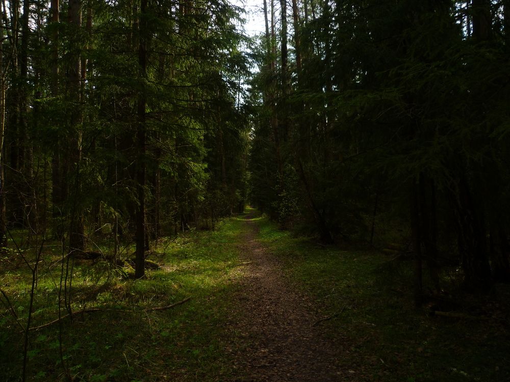 Photo #11223253