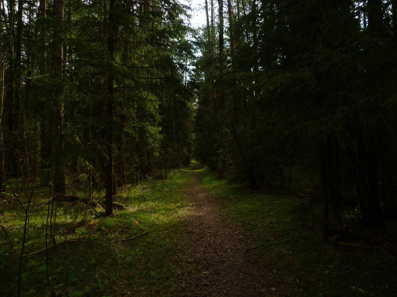 Photo #11223253