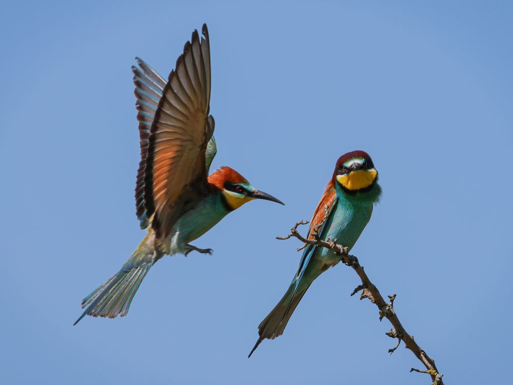 Photograph by Eva Wiedemann