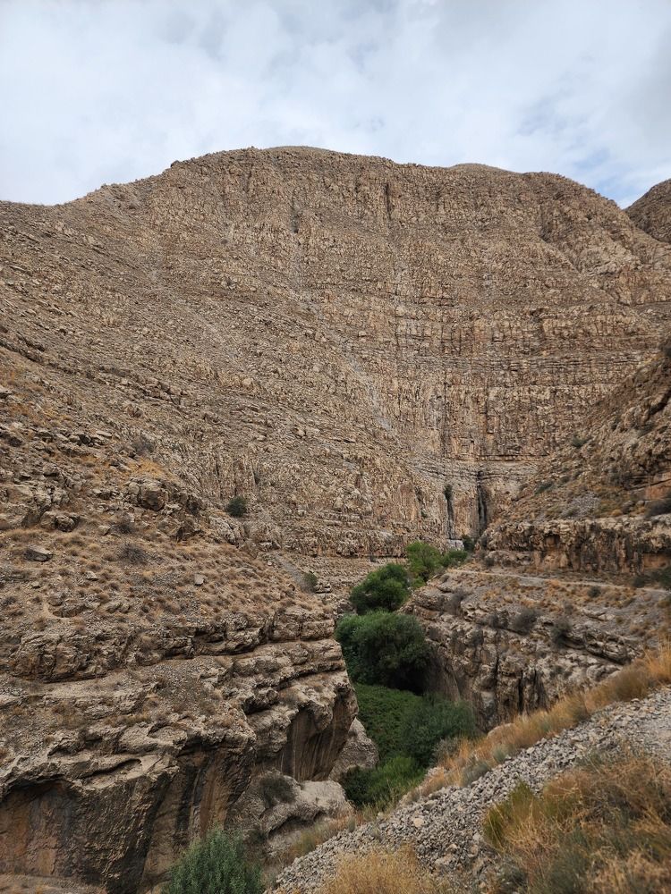 Photograph by Ылхам Онбегиева