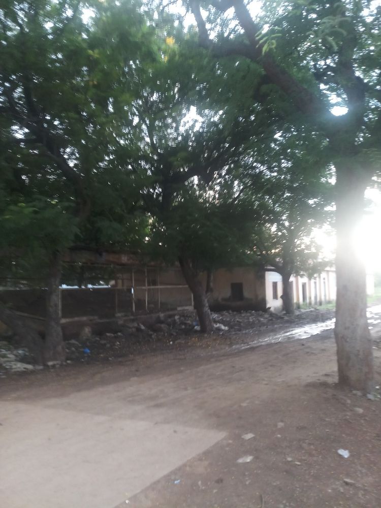 Photograph by B.Ramasubbaiah