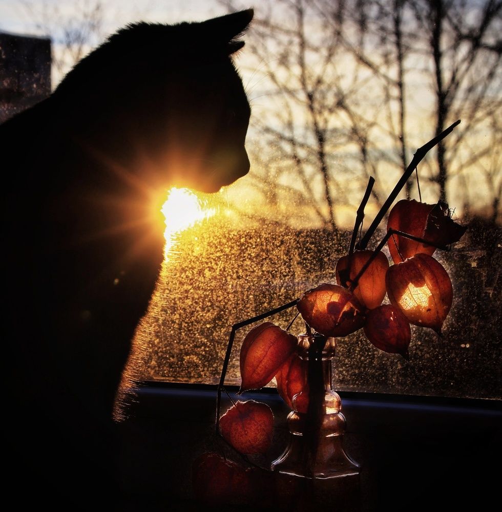 Photograph by Olga Asson