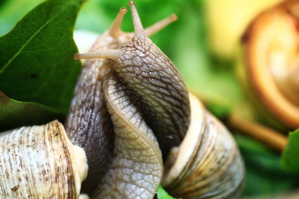 Photograph by Olga Asson