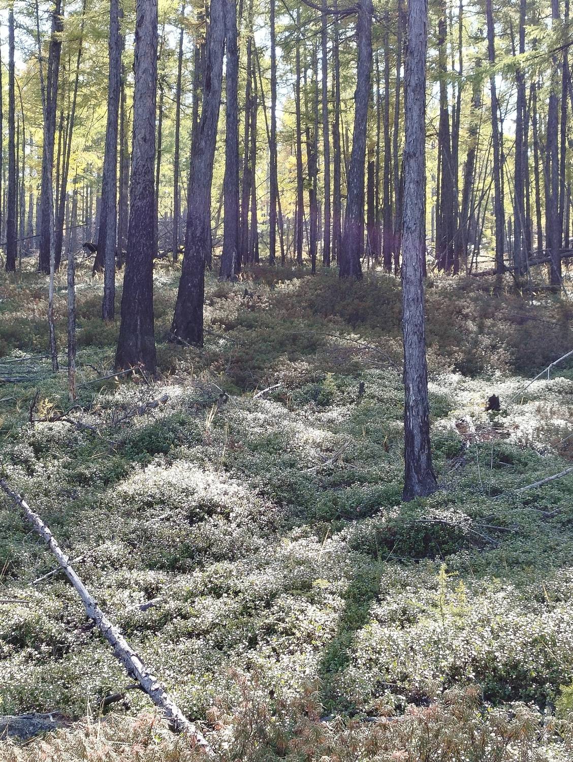 Photo #11223304