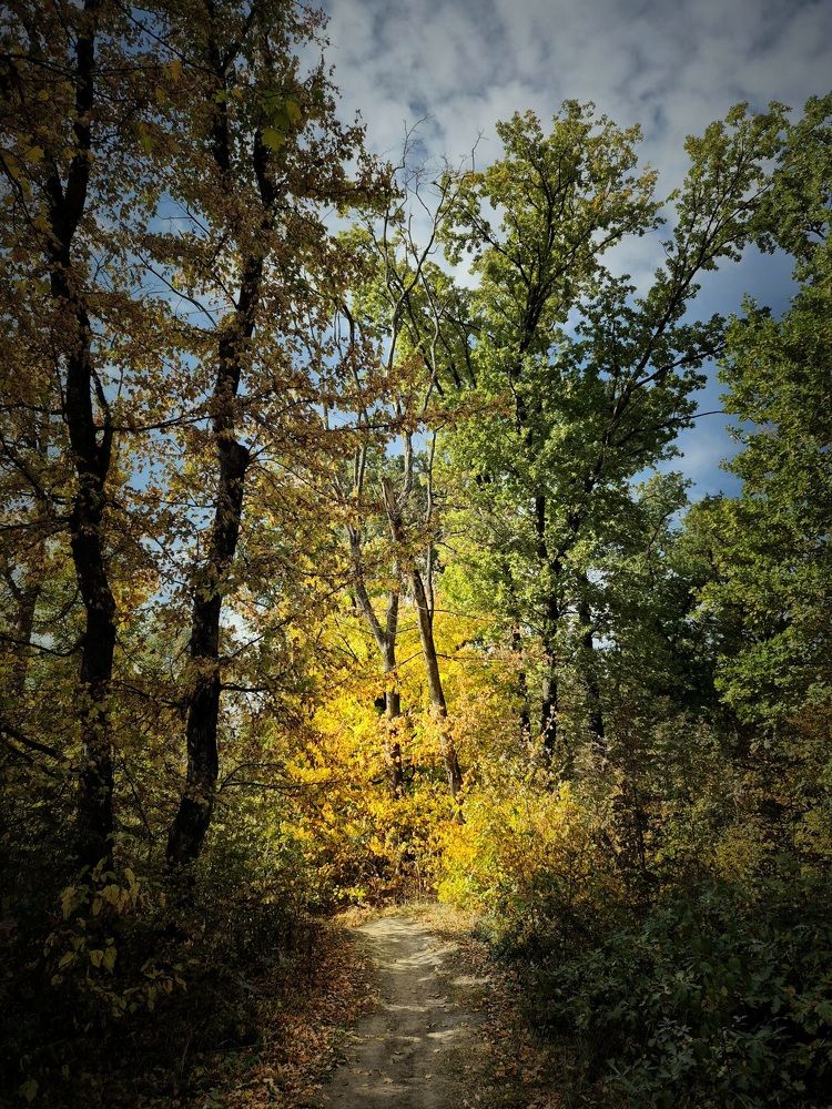 Photograph by Максим Митченко