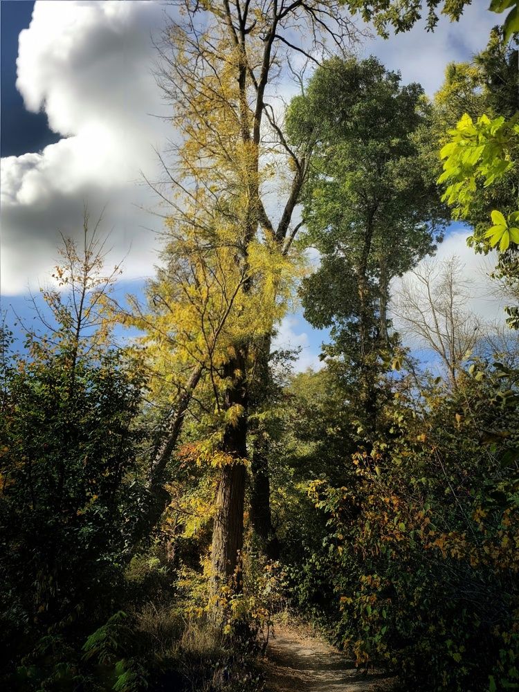 Photograph by Максим Митченко