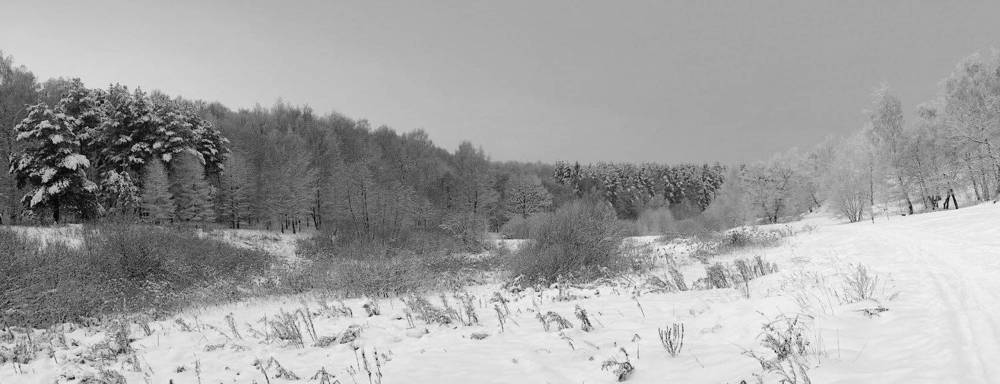 Photograph by Евгений Беленков