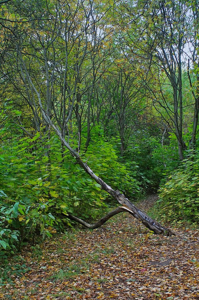 Photograph by Евгений Беленков