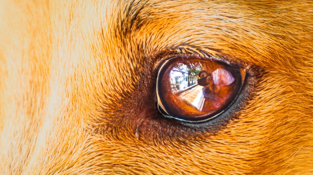 Photograph by Anurag Kashyap