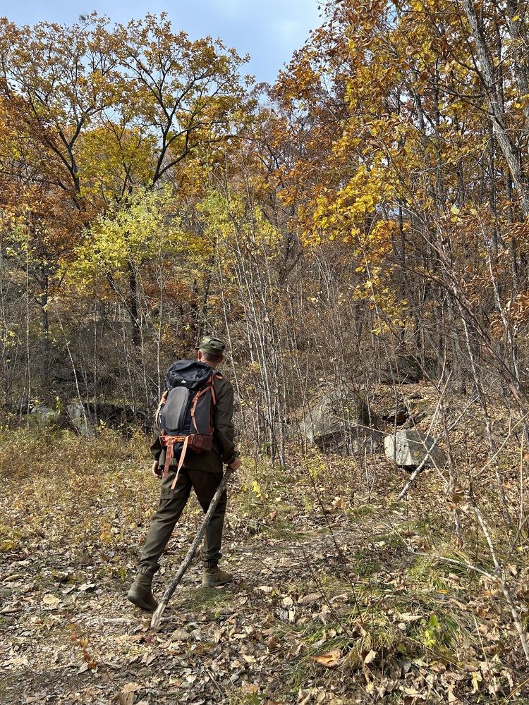 Photograph by Елена Власова