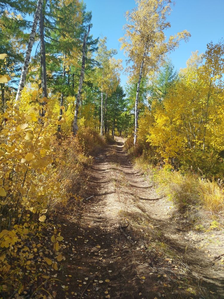 Photo #11223350