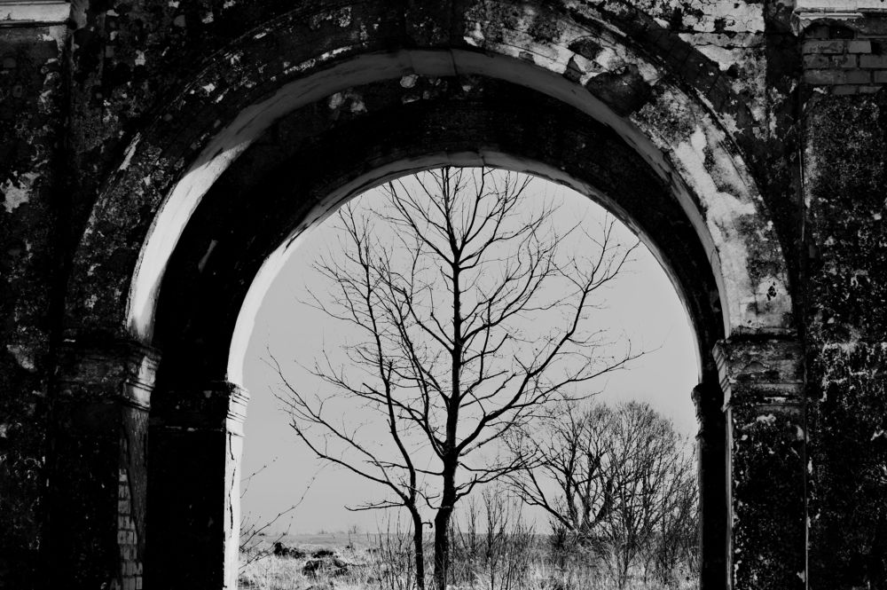 Photograph by Елена Ефимова