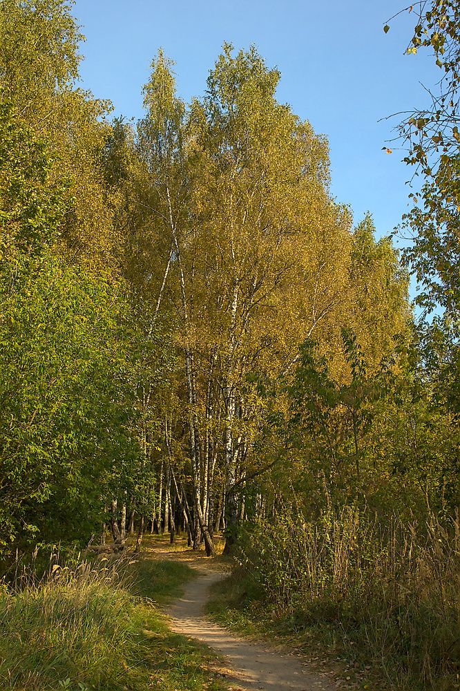 Photograph by Евгений Беленков