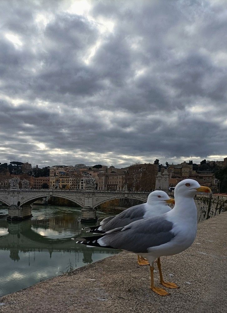 Photograph by Iryna Shyshkina