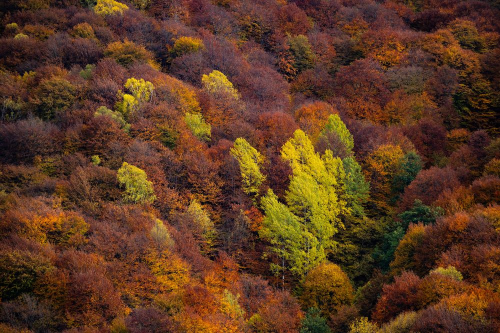 Photograph by Яна Каменская