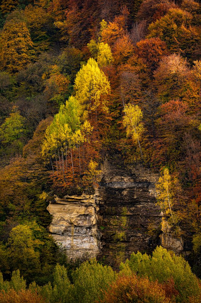 Photograph by Яна Каменская