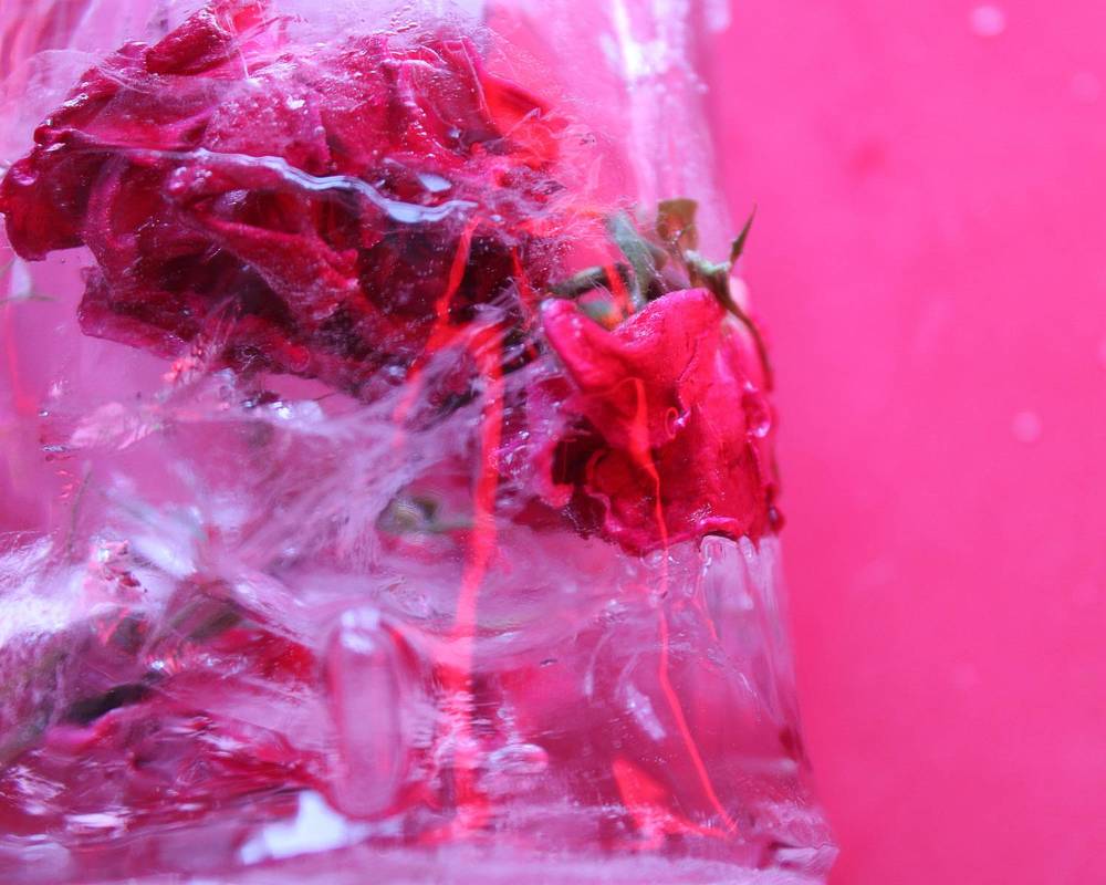 Фотография автора Екатерина Пачина