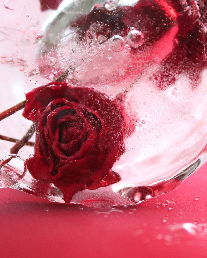 Фотография автора Екатерина Пачина