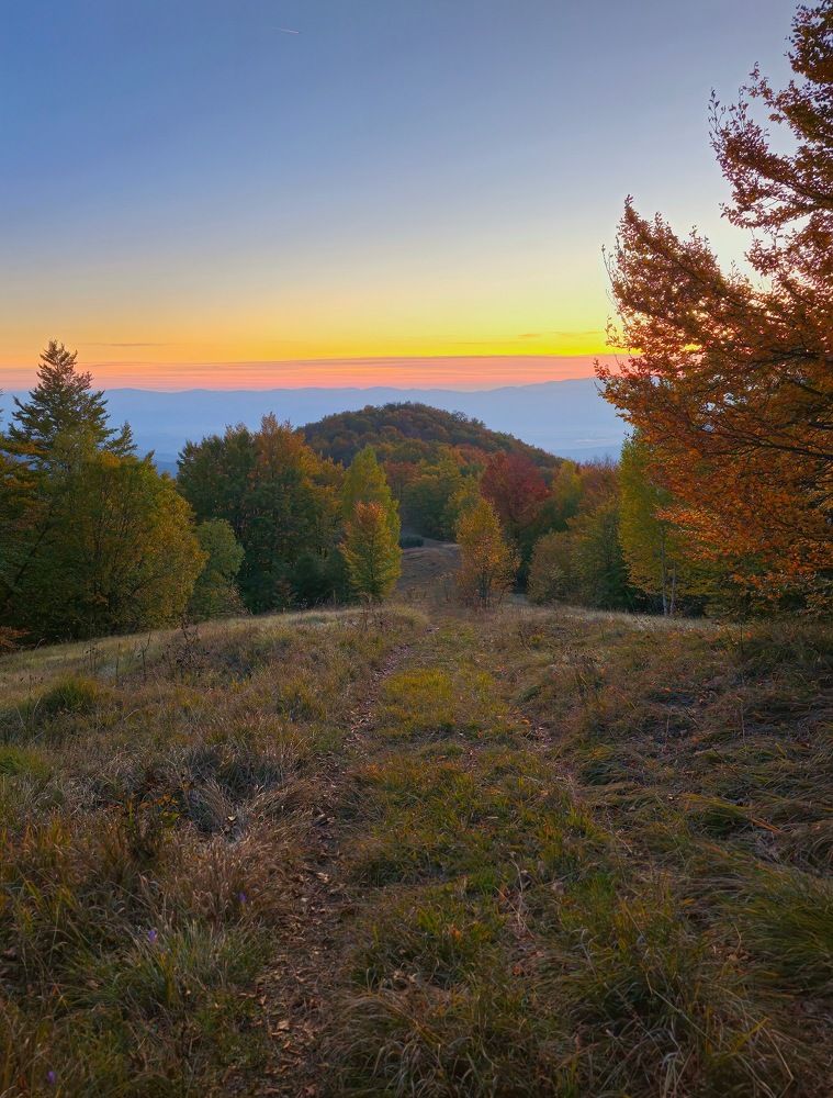 Фотография автора Sebastian Popa