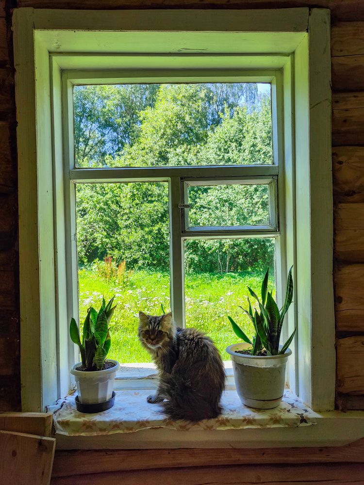 Photograph by Roman Dmitriev