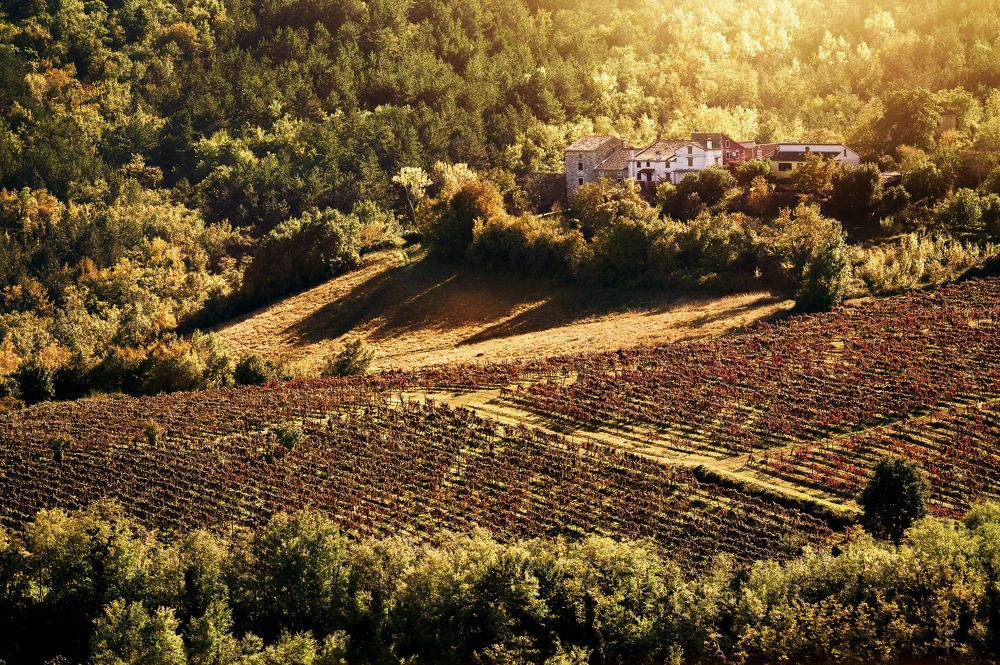 Photograph by Виктория Коршун