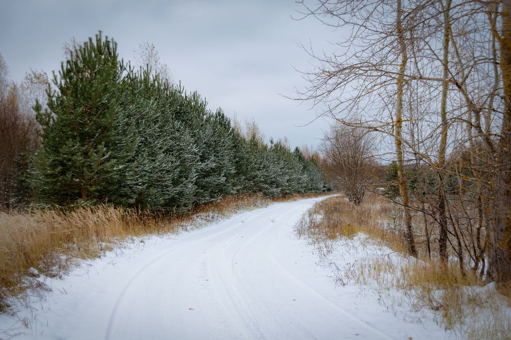 Photograph by Елена Ефимова