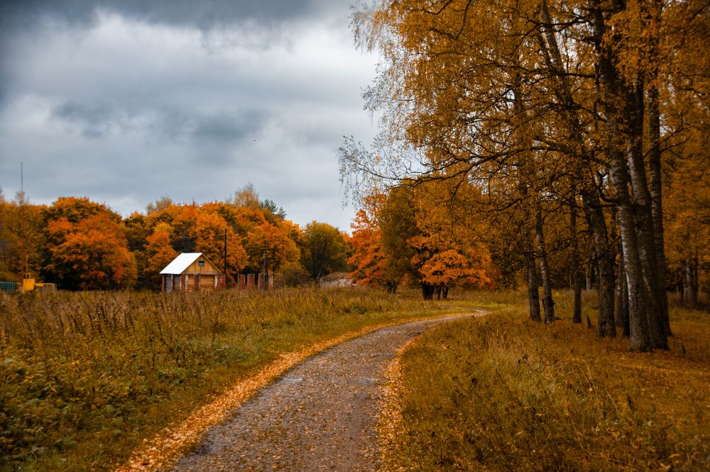 Photograph by Елена Ефимова