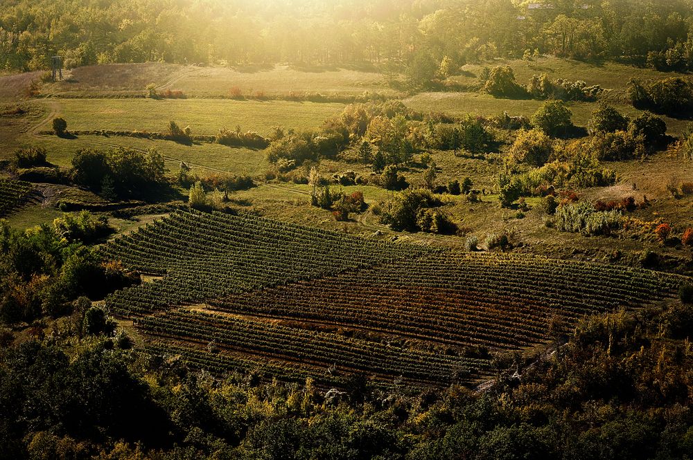 Photograph by Виктория Коршун