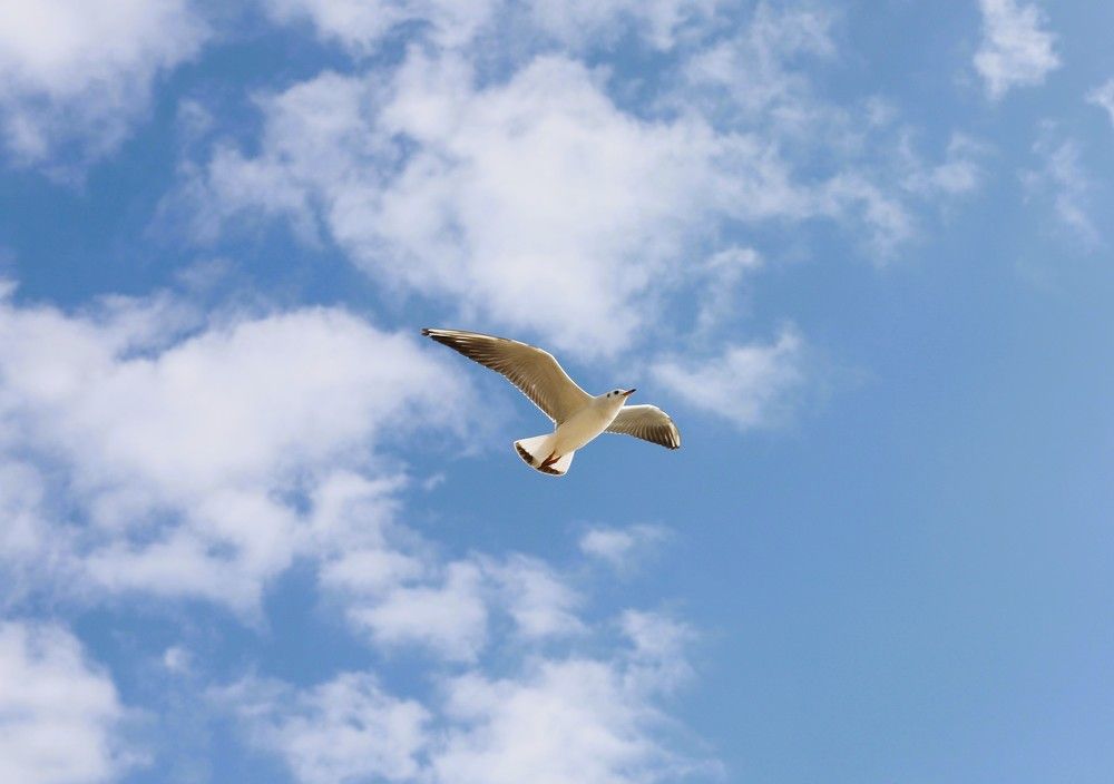 Фотография автора Михаил Лупина