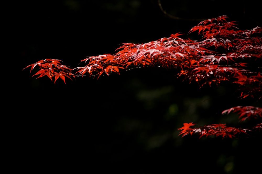 Photograph by Владимир Леликов-Кузьменко